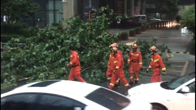 合肥突发暴雨致高压线杆、树木倾倒 合肥消防官兵3小时出警20余次